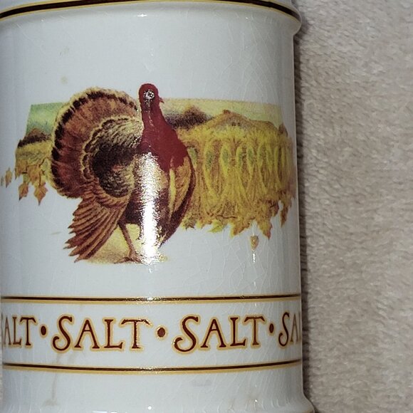 Hallmark Turkey Autumn 4" Tall Salt & Pepper Shakers guc - Picture 3 of 7